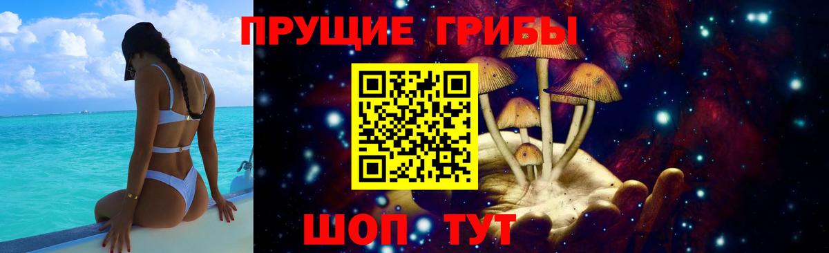 Псилоцибиновые грибы Psilocybe  Вход с VPN  Долгопрудный 