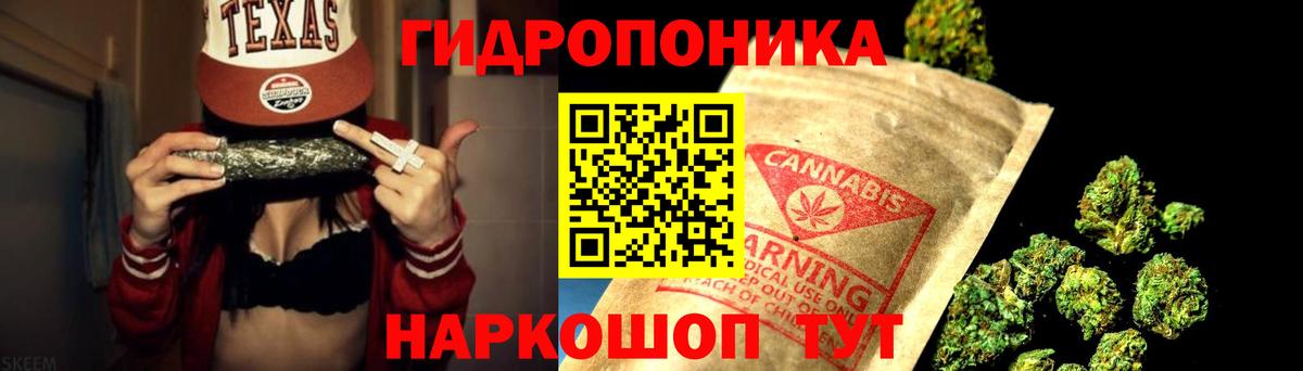 Долгопрудный  Конопля марихуана  Бошки марихуана планчик  Вход с VPN  Конопля VHQ 
